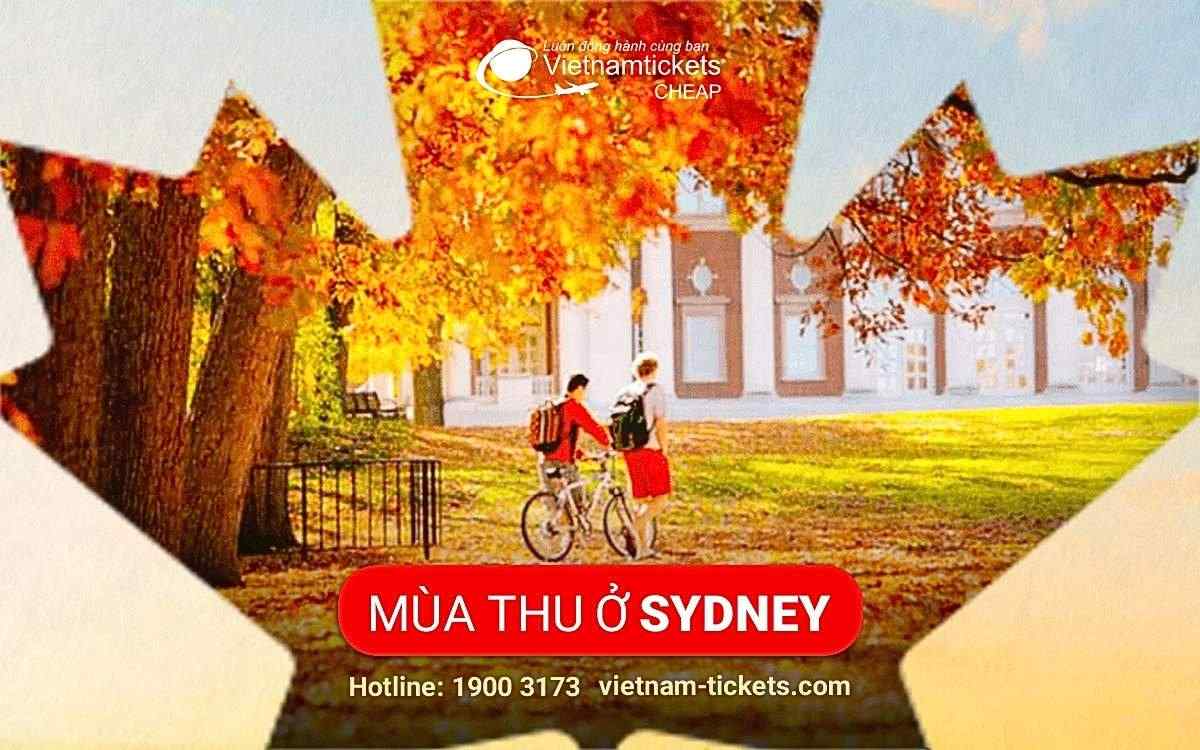 Mùa thu ở Sydney, trải nghiệm cảnh đẹp đến nao lòng