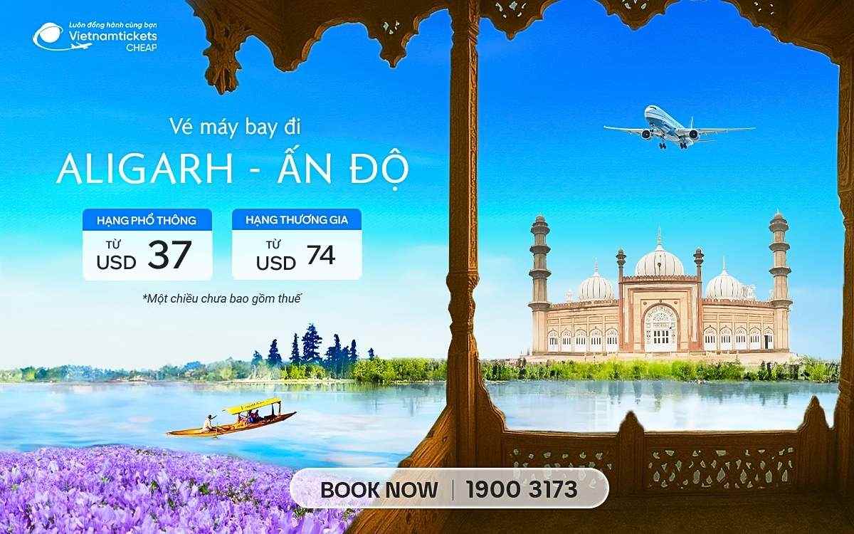 ve may bay di aligarh