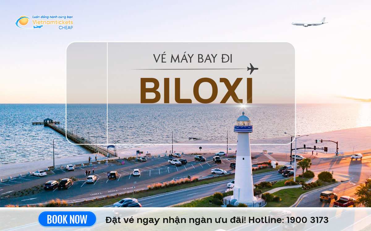 ve may bay di