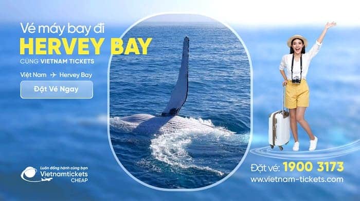 Vé máy bay đi Hervey Bay