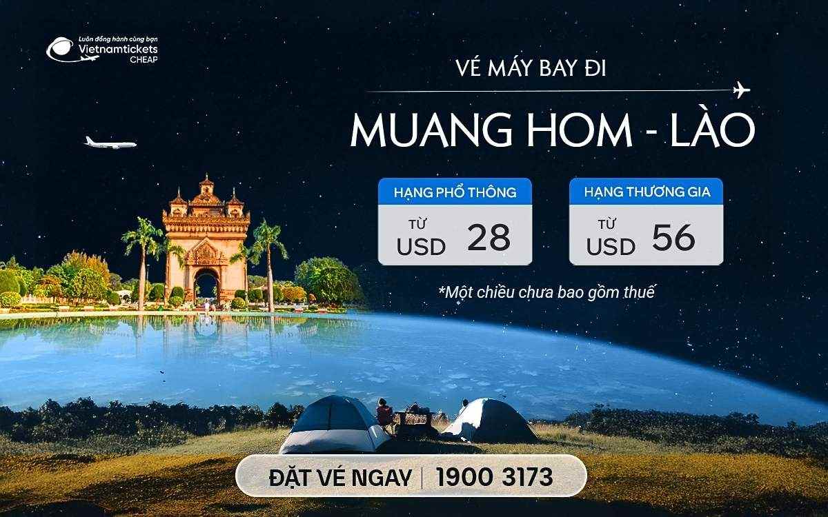 ve may bay di hom