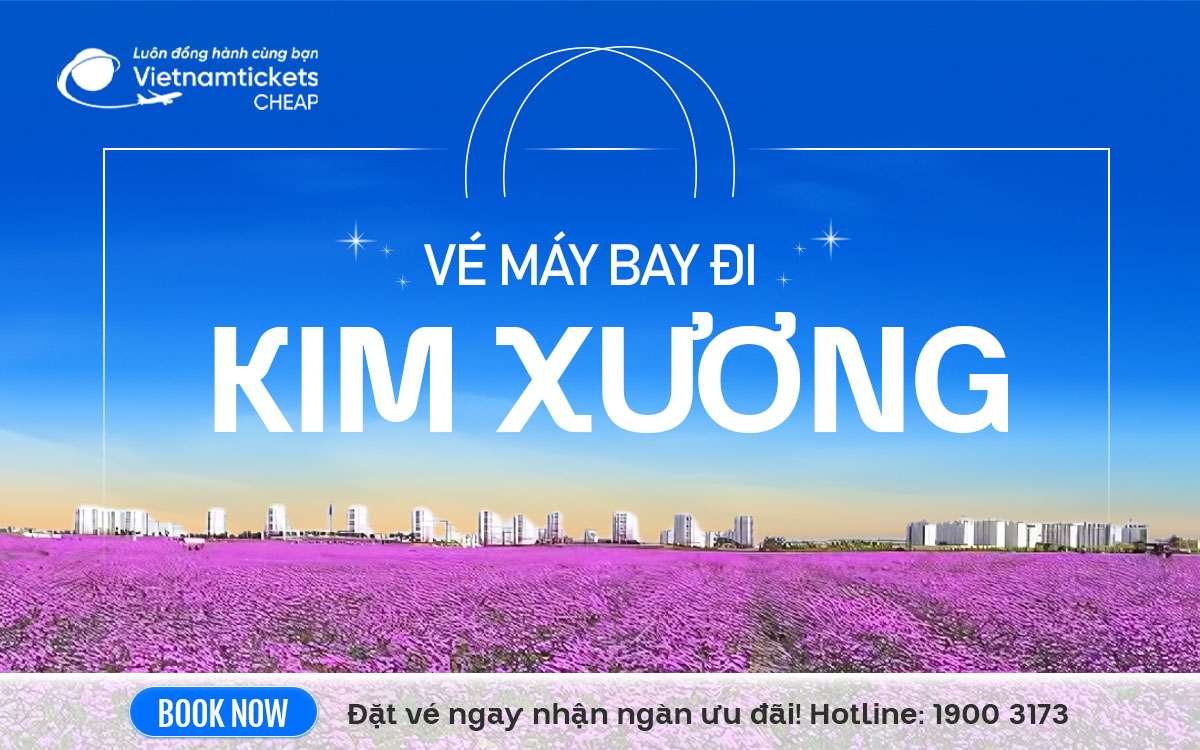 ve may bay di kim