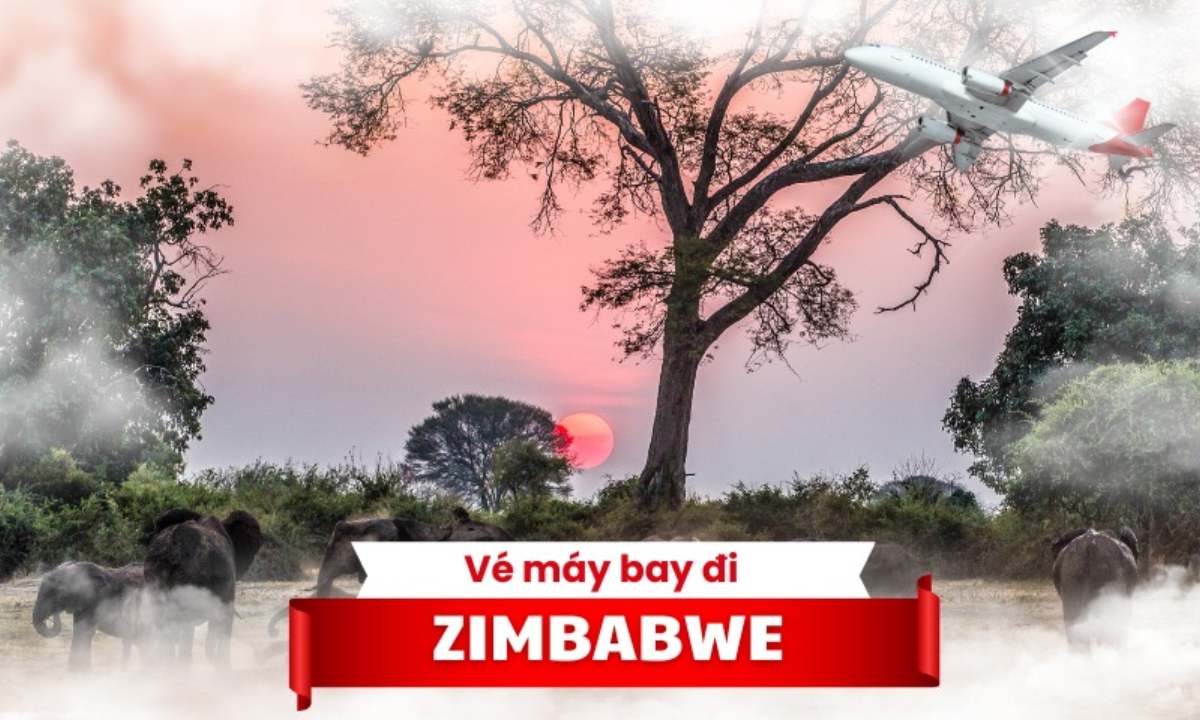 ve may bay di zimbabwe